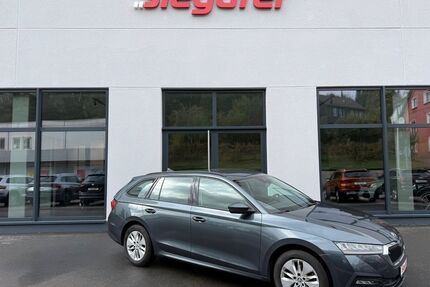 Skoda Octavia Gebrauchtwagen