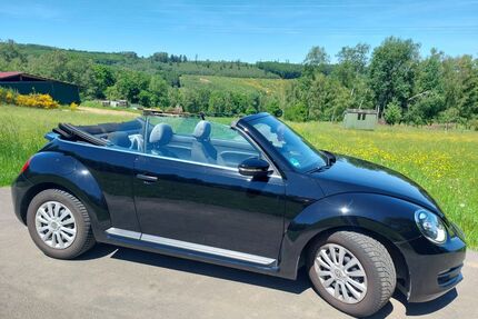 VW Beetle Gebrauchtwagen