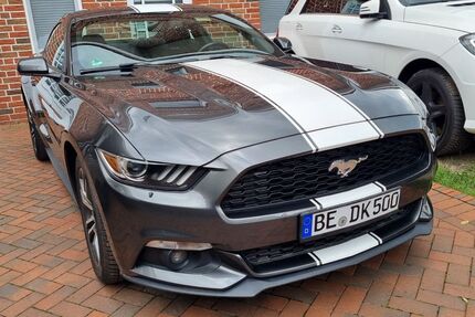Ford Mustang Gebrauchtwagen