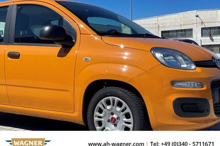 Fiat Panda Gebrauchtwagen