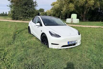 Tesla Model Y Gebrauchtwagen