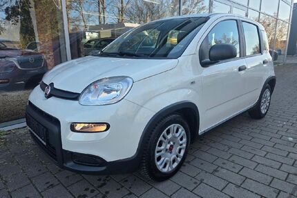 Fiat Panda Gebrauchtwagen