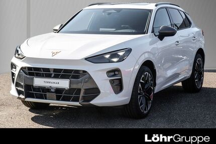 Cupra Terramar Gebrauchtwagen