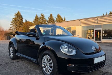VW Beetle Gebrauchtwagen
