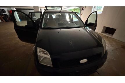 Ford Fusion Gebrauchtwagen