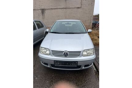 VW Polo Gebrauchtwagen