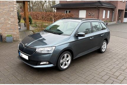 Skoda Fabia Gebrauchtwagen