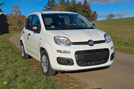 Fiat New Panda Gebrauchtwagen