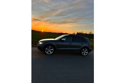 Audi SQ5 Gebrauchtwagen
