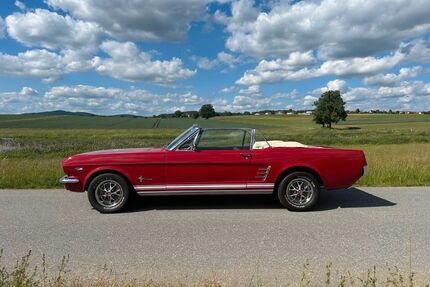 Ford Mustang Gebrauchtwagen
