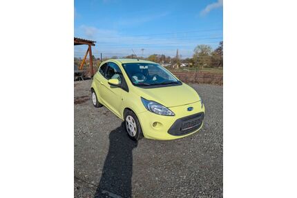 Ford Ka/Ka+ Gebrauchtwagen