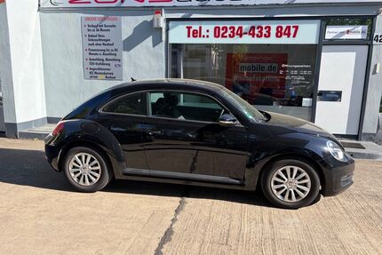 VW Beetle Gebrauchtwagen