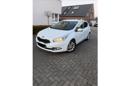 Kia ceed / Ceed Gebrauchtwagen