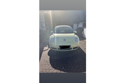 VW Beetle Gebrauchtwagen
