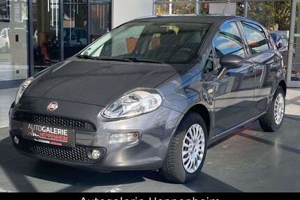Fiat Punto Gebrauchtwagen