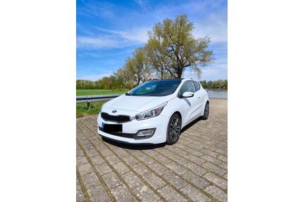 Kia pro ceed / ProCeed Gebrauchtwagen