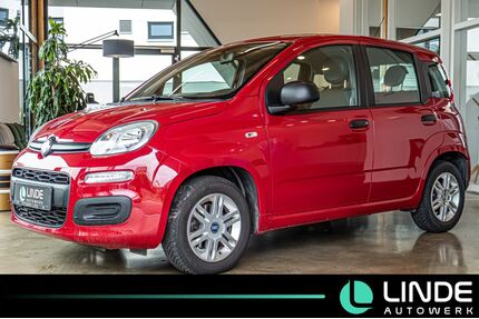 Fiat Panda Gebrauchtwagen