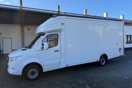 Mercedes-Benz Sprinter Gebrauchtwagen
