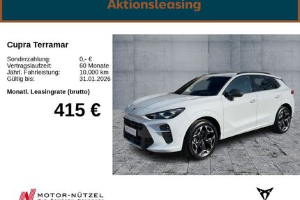 Cupra Terramar Gebrauchtwagen