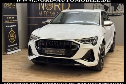 Audi e-tron Gebrauchtwagen
