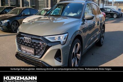 Audi Q8 e-tron Gebrauchtwagen