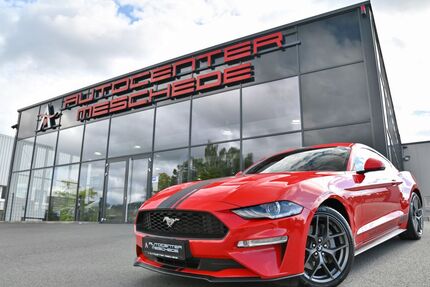 Ford Mustang Gebrauchtwagen
