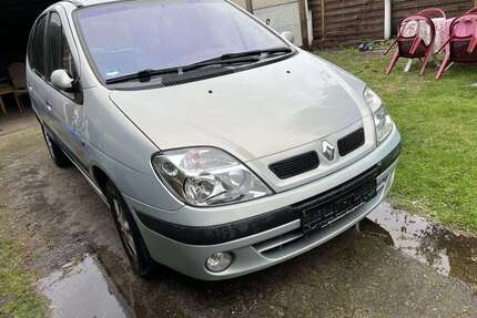 Renault Scenic Gebrauchtwagen