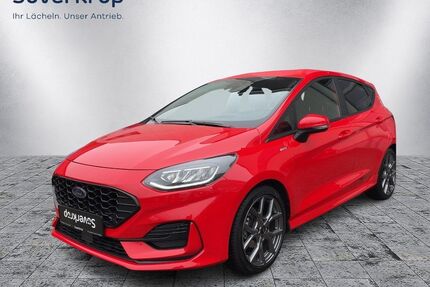 Ford Fiesta Gebrauchtwagen