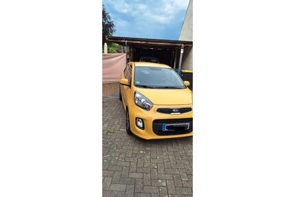 Kia Picanto Gebrauchtwagen