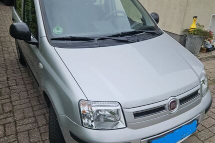 Fiat Panda Gebrauchtwagen