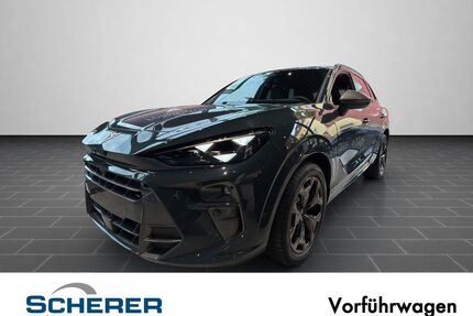 Cupra Terramar Gebrauchtwagen