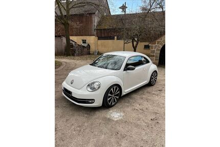 VW Beetle Gebrauchtwagen
