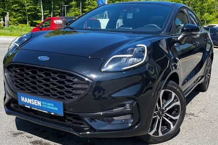 Ford Puma Gebrauchtwagen