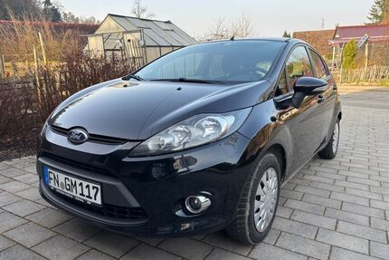 Ford Fiesta Gebrauchtwagen