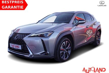 Lexus UX Gebrauchtwagen