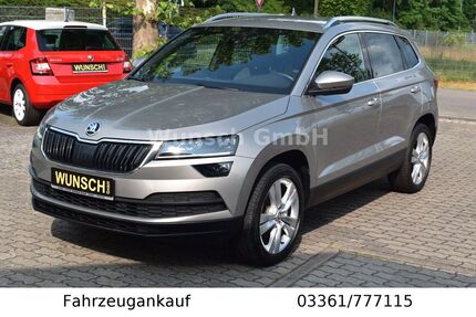 Skoda Karoq Gebrauchtwagen