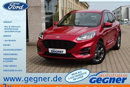 Ford Kuga Gebrauchtwagen