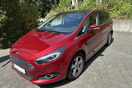 Ford S-Max Gebrauchtwagen