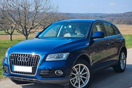 Audi Q5 Gebrauchtwagen