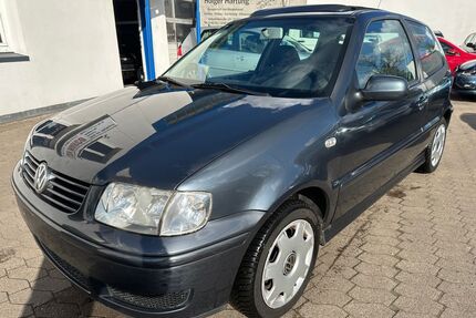 VW Polo Gebrauchtwagen