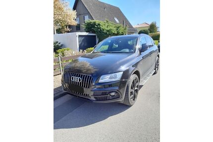 Audi Q5 Gebrauchtwagen