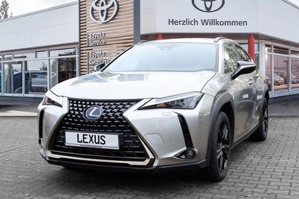 Lexus UX Gebrauchtwagen