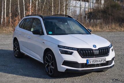 Skoda Kamiq Gebrauchtwagen