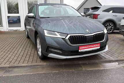Skoda Octavia Gebrauchtwagen