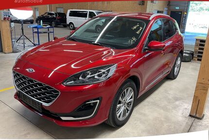 Ford Kuga Gebrauchtwagen