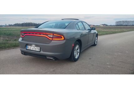 Dodge Charger Gebrauchtwagen