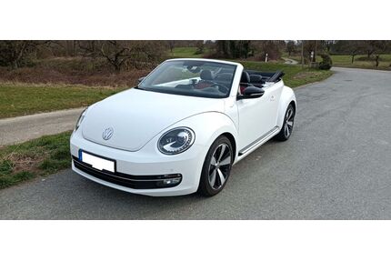 VW Beetle Gebrauchtwagen