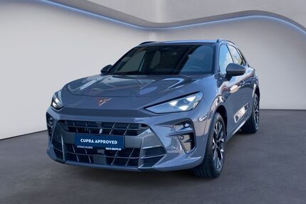 Cupra Terramar Gebrauchtwagen
