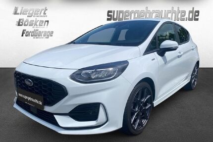 Ford Fiesta Gebrauchtwagen