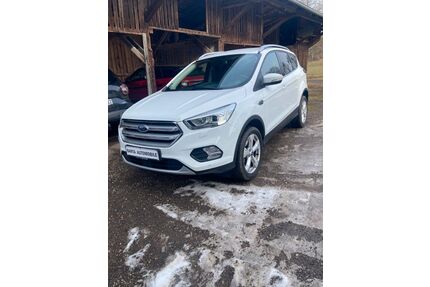 Ford Kuga Gebrauchtwagen